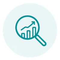 SEO Visibility